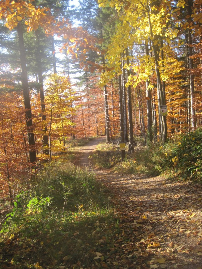 Klicke auf die Grafik für eine vergrößerte Ansicht

Name: wai_041.jpg
Ansichten: 75
Größe: 306,8 KB
ID: 3356485