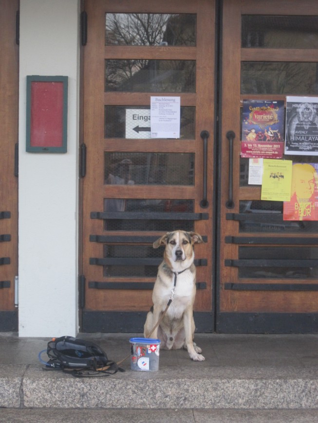 Klicke auf die Grafik für eine vergrößerte Ansicht

Name: wai_044.jpg
Ansichten: 78
Größe: 134,3 KB
ID: 3356486