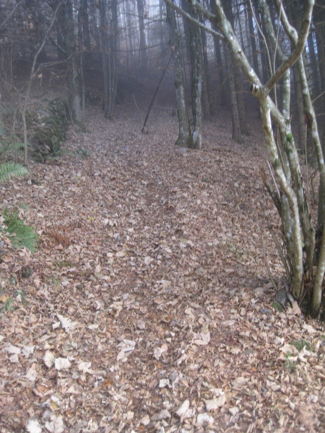 Klicke auf die Grafik für eine vergrößerte Ansicht  Name: IMG_4406.jpg Ansichten: 0 Größe: 212,1 KB ID: 3356491