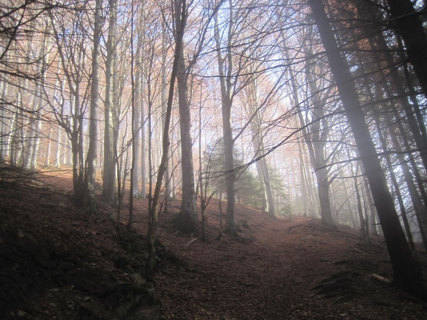 Klicke auf die Grafik für eine vergrößerte Ansicht  Name: IMG_4407.jpg Ansichten: 0 Größe: 216,5 KB ID: 3356492