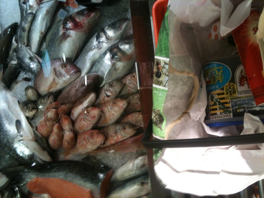 Klicke auf die Grafik für eine vergrößerte Ansicht  Name: altephotos_042.jpg Ansichten: 0 Größe: 144,9 KB ID: 3356499