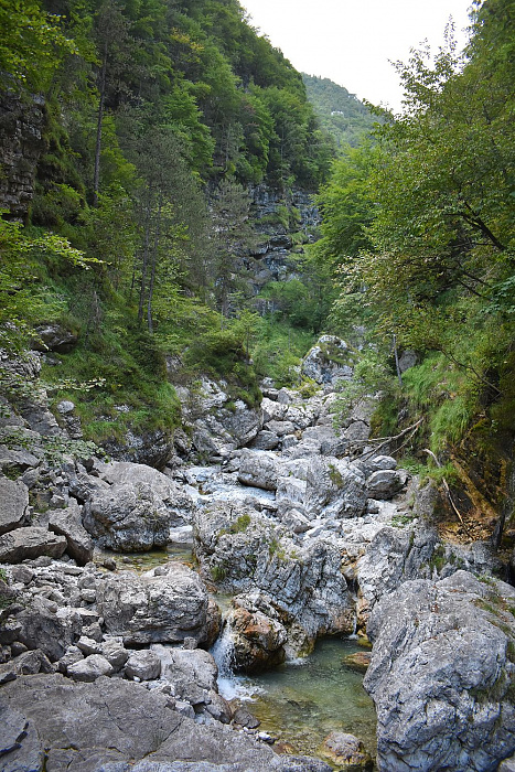 Klicke auf die Grafik für eine vergrößerte Ansicht

Name: DSC_0160.jpg
Ansichten: 72
Größe: 811,3 KB
ID: 3356570