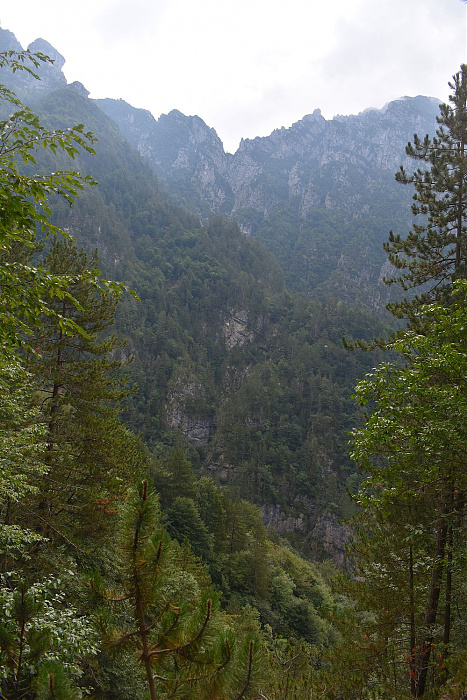 Klicke auf die Grafik für eine vergrößerte Ansicht

Name: DSC_0167.jpg
Ansichten: 70
Größe: 532,6 KB
ID: 3356571