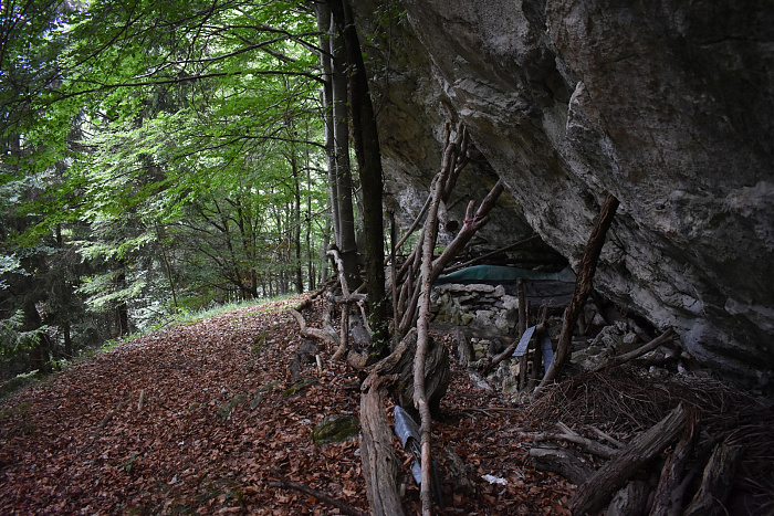 Klicke auf die Grafik für eine vergrößerte Ansicht

Name: DSC_0174.jpg
Ansichten: 69
Größe: 1,01 MB
ID: 3356573