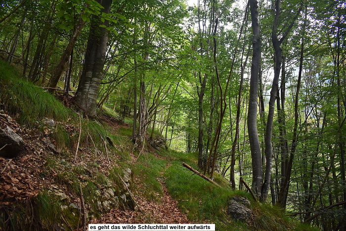 Klicke auf die Grafik für eine vergrößerte Ansicht

Name: DSC_0163.jpg
Ansichten: 74
Größe: 1,27 MB
ID: 3356576