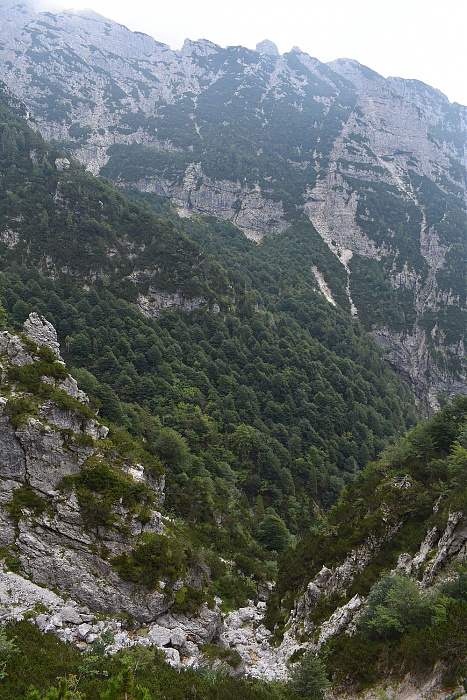 Klicke auf die Grafik für eine vergrößerte Ansicht

Name: DSC_0182.jpg
Ansichten: 69
Größe: 660,8 KB
ID: 3356579