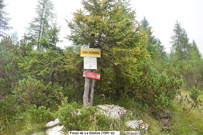 Klicke auf die Grafik für eine vergrößerte Ansicht

Name: DSC_0195.jpg
Ansichten: 67
Größe: 1,20 MB
ID: 3356582