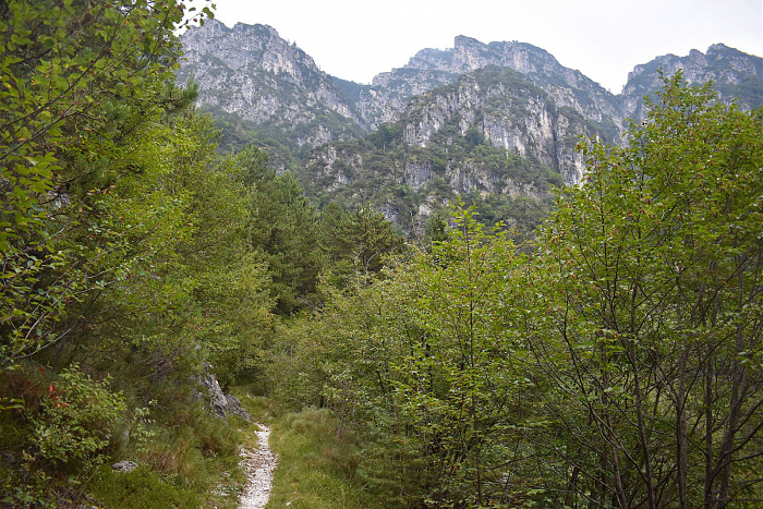 Klicke auf die Grafik für eine vergrößerte Ansicht

Name: DSC_0233.jpg
Ansichten: 67
Größe: 1,18 MB
ID: 3356585