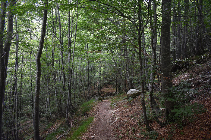 Klicke auf die Grafik für eine vergrößerte Ansicht

Name: DSC_0198.jpg
Ansichten: 70
Größe: 1,27 MB
ID: 3356587