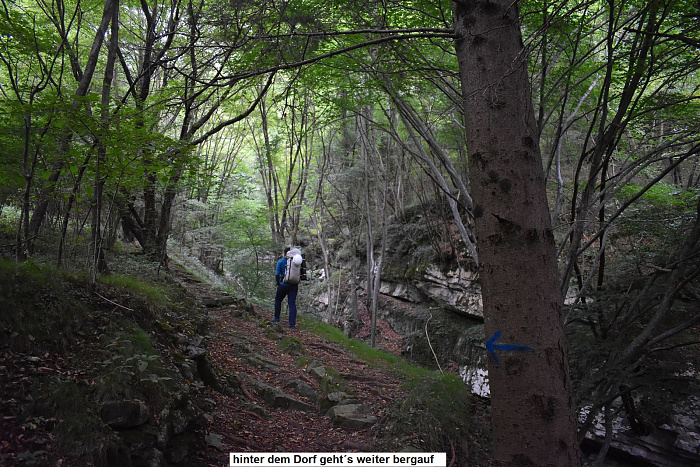 Klicke auf die Grafik für eine vergrößerte Ansicht

Name: DSC_0228.jpg
Ansichten: 68
Größe: 1.009,4 KB
ID: 3356588