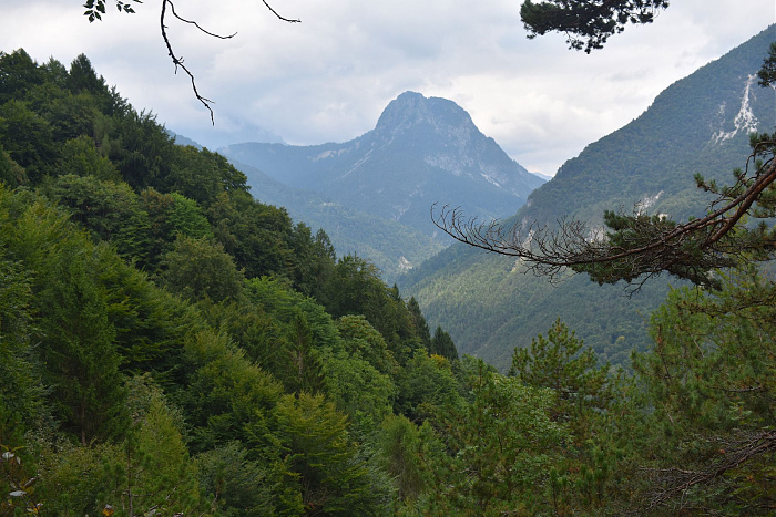 Klicke auf die Grafik für eine vergrößerte Ansicht

Name: DSC_0209.jpg
Ansichten: 70
Größe: 745,7 KB
ID: 3356589