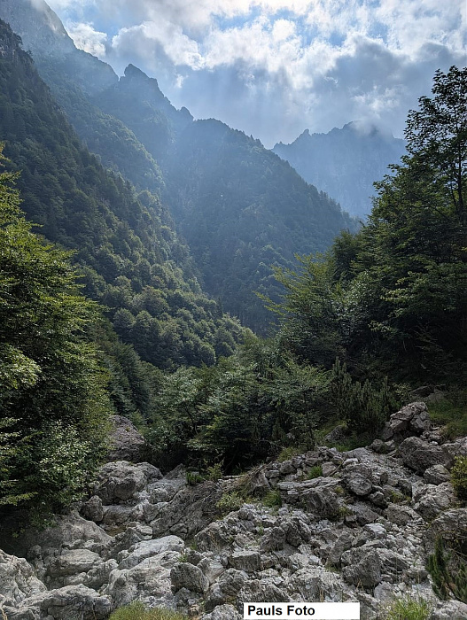 Klicke auf die Grafik für eine vergrößerte Ansicht

Name: IMG-20250828-WA0017.jpg
Ansichten: 69
Größe: 592,9 KB
ID: 3356597