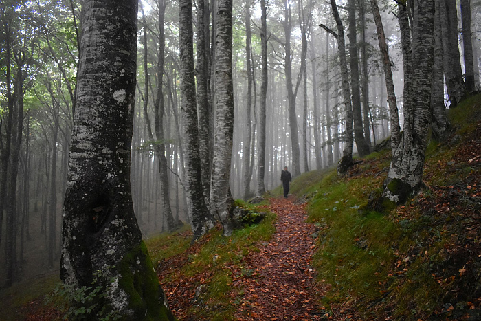 Klicke auf die Grafik für eine vergrößerte Ansicht

Name: DSC_0245.jpg
Ansichten: 0
Größe: 823,5 KB
ID: 3356735