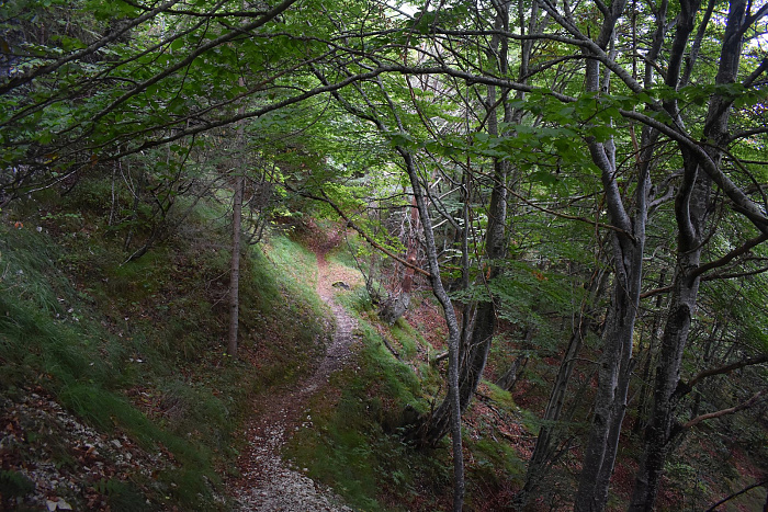 Klicke auf die Grafik für eine vergrößerte Ansicht

Name: DSC_0239.jpg
Ansichten: 0
Größe: 1,11 MB
ID: 3356737