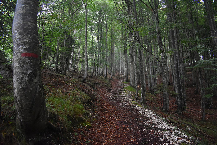 Klicke auf die Grafik für eine vergrößerte Ansicht

Name: DSC_0252.jpg
Ansichten: 0
Größe: 1,05 MB
ID: 3356739