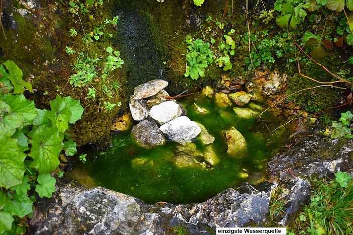 Klicke auf die Grafik für eine vergrößerte Ansicht

Name: DSC_0268.jpg
Ansichten: 0
Größe: 1,05 MB
ID: 3356749