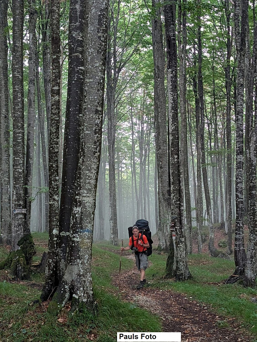 Klicke auf die Grafik für eine vergrößerte Ansicht

Name: IMG-20250828-WA0038.jpg
Ansichten: 0
Größe: 736,3 KB
ID: 3356754