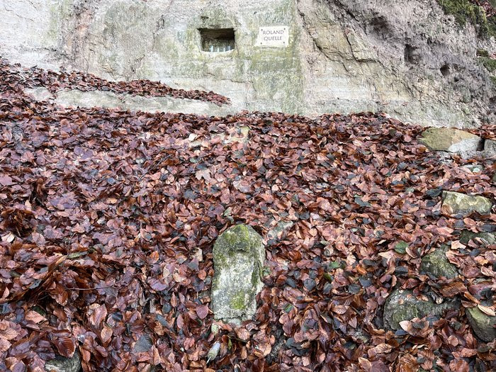 Klicke auf die Grafik für eine vergrößerte Ansicht

Name: IMG_9434.jpg
Ansichten: 15
Größe: 241,2 KB
ID: 3356991