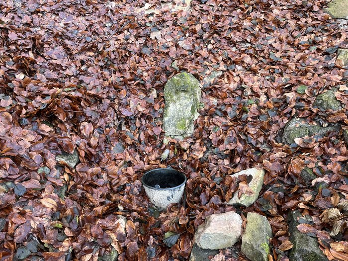 Klicke auf die Grafik für eine vergrößerte Ansicht

Name: IMG_9435.jpg
Ansichten: 15
Größe: 256,7 KB
ID: 3356992