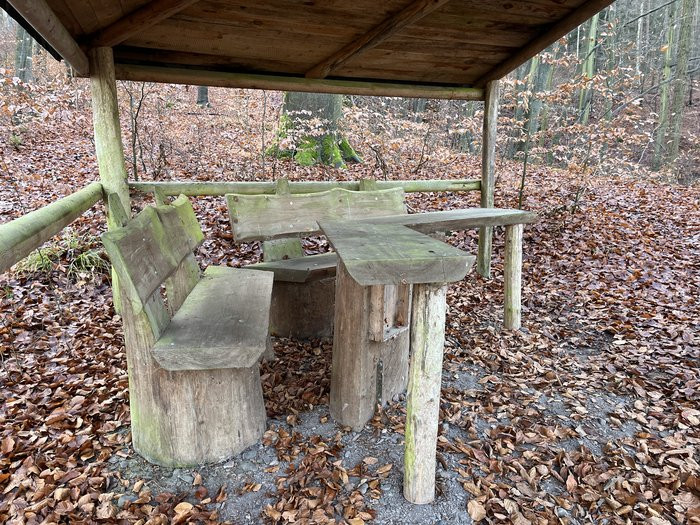 Klicke auf die Grafik für eine vergrößerte Ansicht

Name: IMG_9445.jpg
Ansichten: 15
Größe: 221,1 KB
ID: 3357004