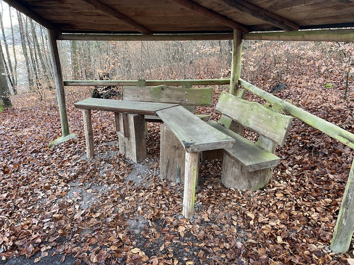 Klicke auf die Grafik für eine vergrößerte Ansicht

Name: IMG_9447.jpg
Ansichten: 16
Größe: 227,3 KB
ID: 3357005