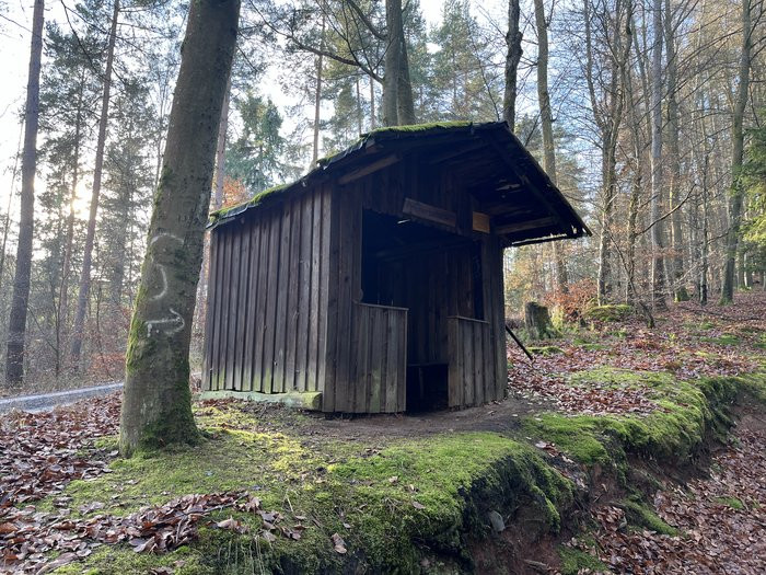 Klicke auf die Grafik für eine vergrößerte Ansicht

Name: IMG_9454.jpg
Ansichten: 16
Größe: 195,5 KB
ID: 3357013