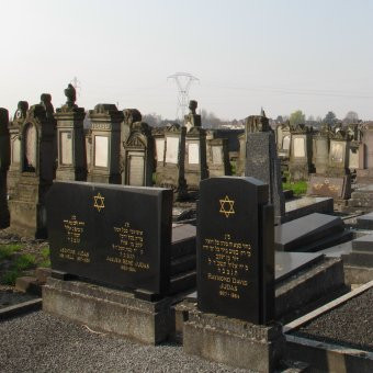 Klicke auf die Grafik für eine vergrößerte Ansicht

Name: IMG_09032.jpg
Ansichten: 110
Größe: 35,7 KB
ID: 3357133