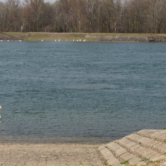 Klicke auf die Grafik für eine vergrößerte Ansicht

Name: IMG_09212.jpg
Ansichten: 109
Größe: 37,0 KB
ID: 3357135