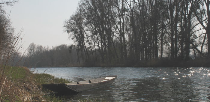 Klicke auf die Grafik für eine vergrößerte Ansicht

Name: IMG_09391.jpg
Ansichten: 113
Größe: 80,7 KB
ID: 3357137