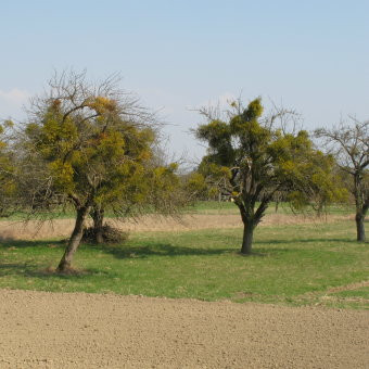 Klicke auf die Grafik für eine vergrößerte Ansicht

Name: IMG_09321.jpg
Ansichten: 110
Größe: 38,9 KB
ID: 3357138