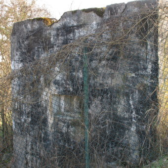 Klicke auf die Grafik für eine vergrößerte Ansicht

Name: IMG_0954.jpg
Ansichten: 113
Größe: 58,8 KB
ID: 3357142