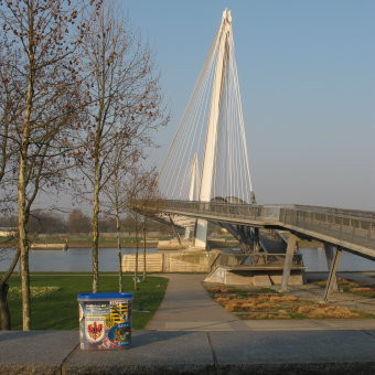 Klicke auf die Grafik für eine vergrößerte Ansicht

Name: IMG_09763.jpg
Ansichten: 111
Größe: 42,5 KB
ID: 3357151