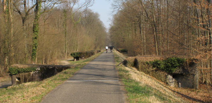 Klicke auf die Grafik für eine vergrößerte Ansicht

Name: IMG_1017.jpg
Ansichten: 115
Größe: 106,8 KB
ID: 3357159