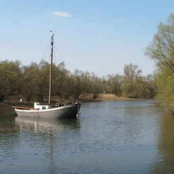 Klicke auf die Grafik für eine vergrößerte Ansicht

Name: IMG_10441.jpg
Ansichten: 108
Größe: 27,2 KB
ID: 3357164