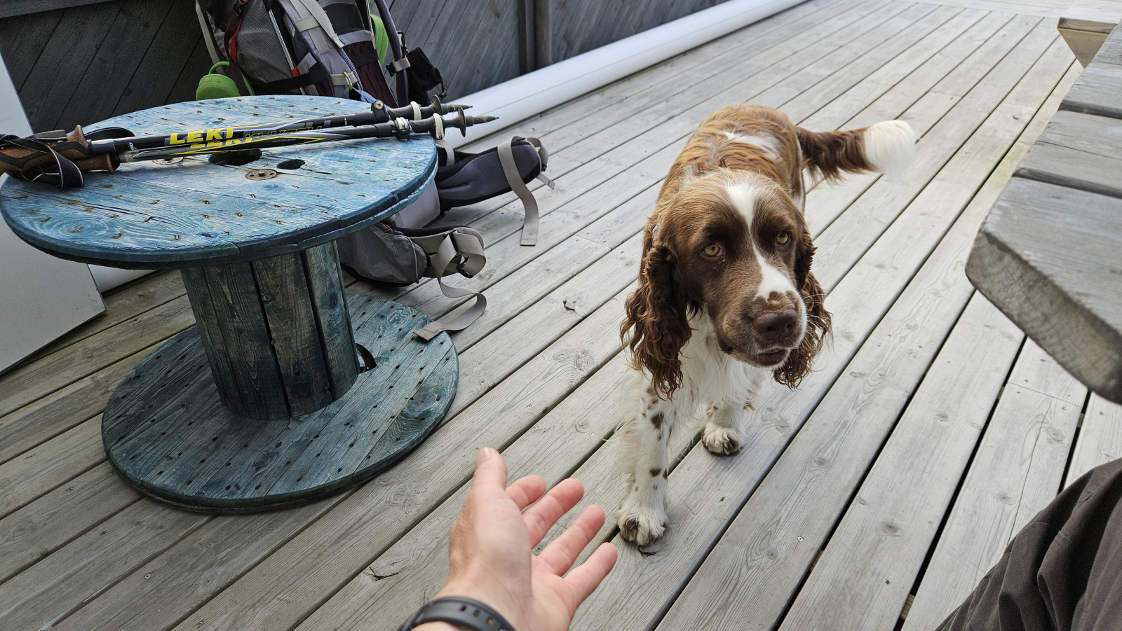 Klicke auf die Grafik für eine vergrößerte Ansicht

Name: 20250905_101155 Hund.jpg
Ansichten: 61
Größe: 728,6 KB
ID: 3357405