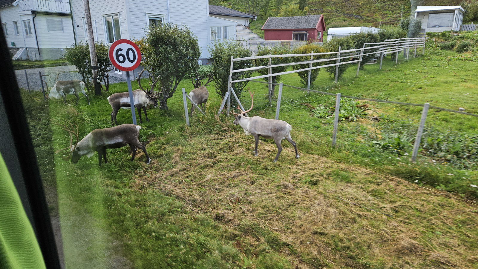 Klicke auf die Grafik für eine vergrößerte Ansicht

Name: 20250906_100024 Rentiere am Bus.jpg
Ansichten: 59
Größe: 986,3 KB
ID: 3357414