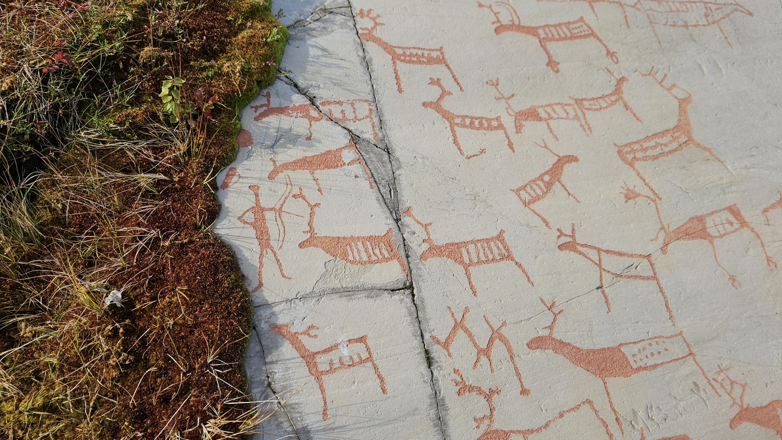 Klicke auf die Grafik für eine vergrößerte Ansicht

Name: 20250906_133220 männlicher Jäger.jpg
Ansichten: 59
Größe: 976,9 KB
ID: 3357420