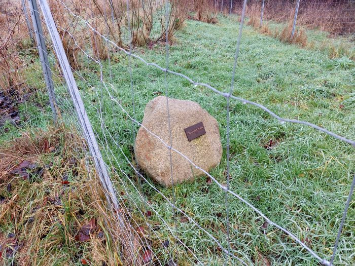 Klicke auf die Grafik für eine vergrößerte Ansicht

Name: 20251221_133504a.jpg
Ansichten: 16
Größe: 245,8 KB
ID: 3357475