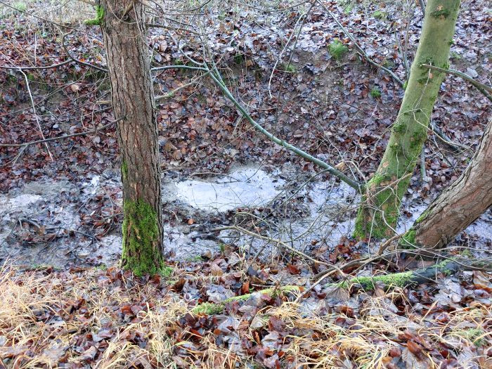 Klicke auf die Grafik für eine vergrößerte Ansicht

Name: 20251221_133817a.jpg
Ansichten: 18
Größe: 257,5 KB
ID: 3357476