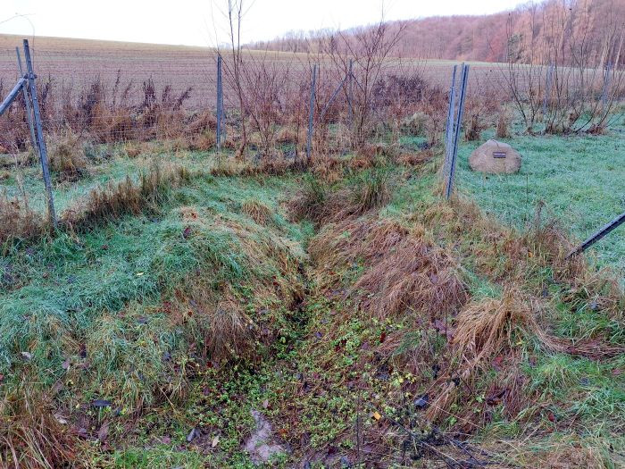 Klicke auf die Grafik für eine vergrößerte Ansicht

Name: 20251221_133616a.jpg
Ansichten: 16
Größe: 217,9 KB
ID: 3357477