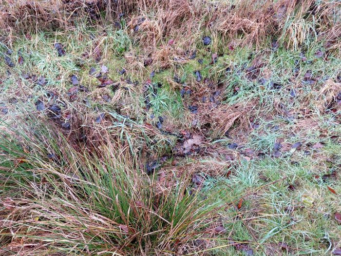 Klicke auf die Grafik für eine vergrößerte Ansicht

Name: 20251221_133506a.jpg
Ansichten: 16
Größe: 273,7 KB
ID: 3357478