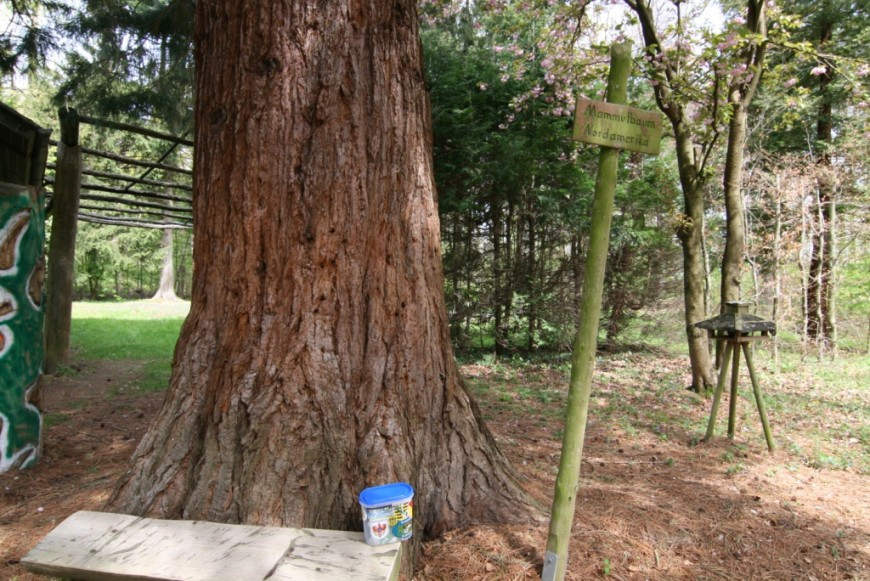 Klicke auf die Grafik für eine vergrößerte Ansicht

Name: 2012_04_27_Auf_Tour_mit_dem_WAI_7_.jpg
Ansichten: 92
Größe: 218,7 KB
ID: 3357566