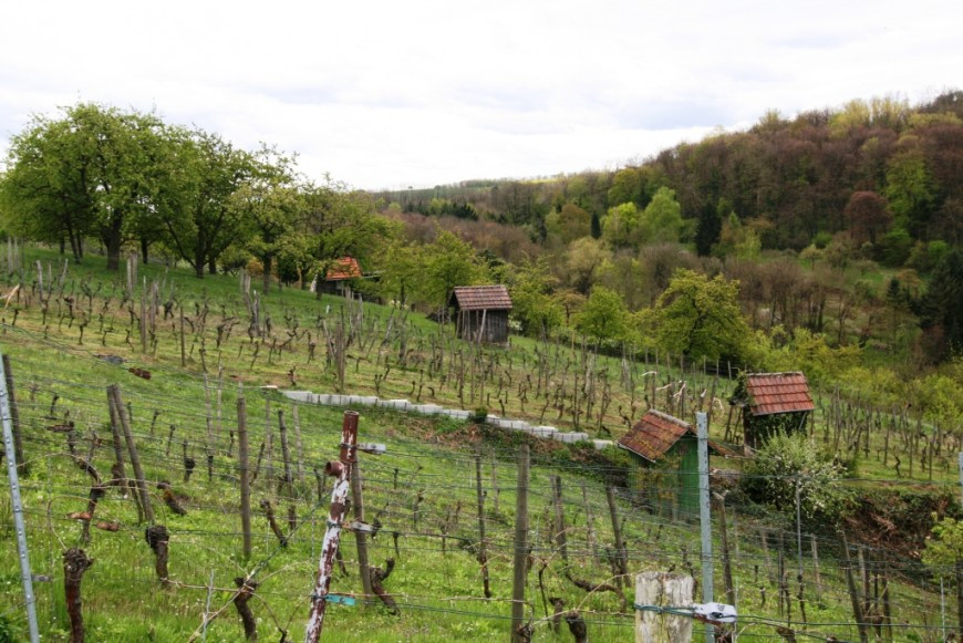 Klicke auf die Grafik für eine vergrößerte Ansicht

Name: 2012_04_27_Auf_Tour_mit_dem_WAI_10_.jpg
Ansichten: 91
Größe: 187,7 KB
ID: 3357567