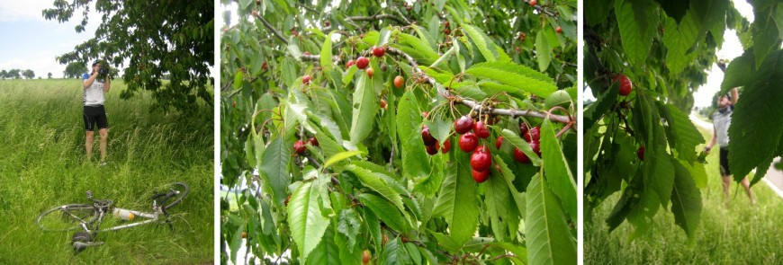 Klicke auf die Grafik für eine vergrößerte Ansicht

Name: GutKirschenEssen.jpg
Ansichten: 93
Größe: 123,5 KB
ID: 3357580