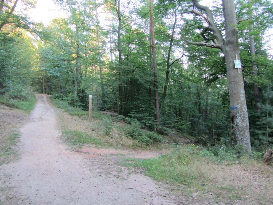 Klicke auf die Grafik für eine vergrößerte Ansicht

Name: IMG_02241.jpg
Ansichten: 39
Größe: 245,6 KB
ID: 3357909