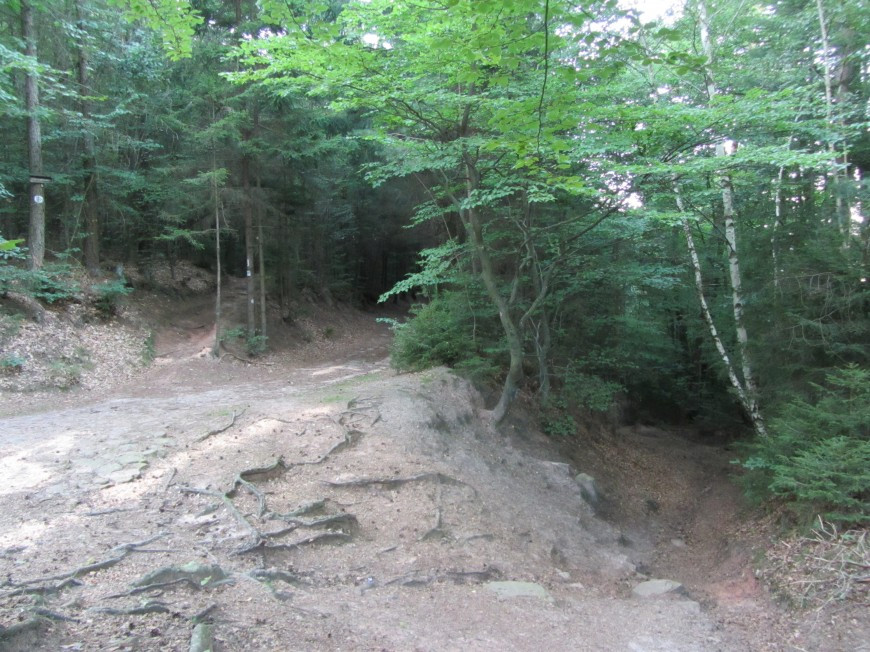 Klicke auf die Grafik für eine vergrößerte Ansicht

Name: IMG_02254.jpg
Ansichten: 39
Größe: 224,2 KB
ID: 3357910