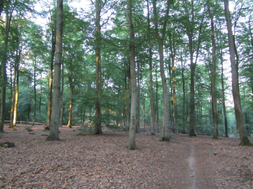 Klicke auf die Grafik für eine vergrößerte Ansicht

Name: IMG_02343.jpg
Ansichten: 39
Größe: 252,5 KB
ID: 3357911