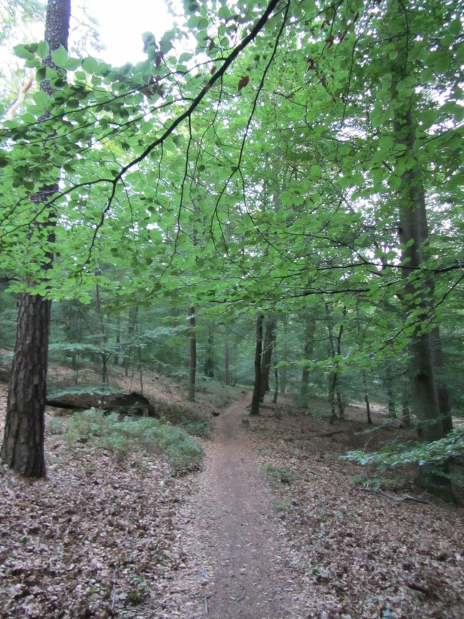 Klicke auf die Grafik für eine vergrößerte Ansicht

Name: IMG_02362.jpg
Ansichten: 39
Größe: 258,2 KB
ID: 3357912