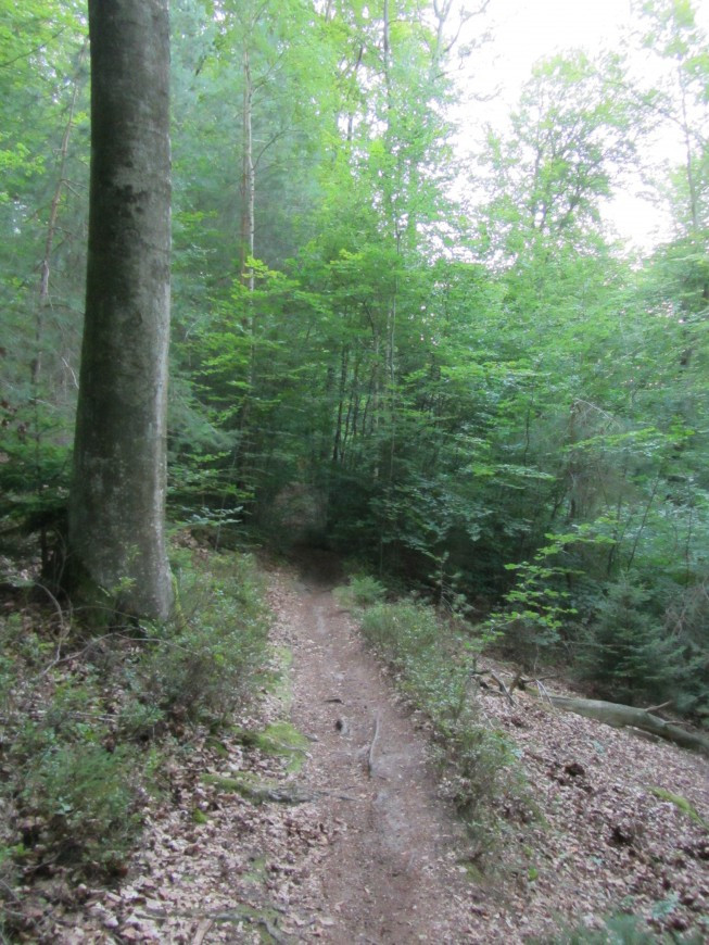 Klicke auf die Grafik für eine vergrößerte Ansicht

Name: IMG_02374.jpg
Ansichten: 39
Größe: 221,7 KB
ID: 3357913