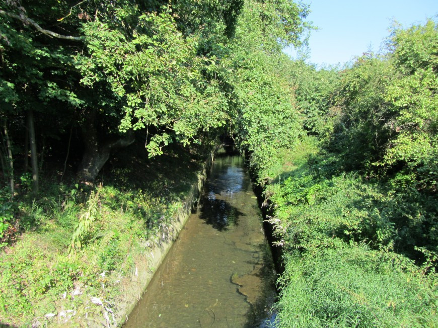 Klicke auf die Grafik für eine vergrößerte Ansicht

Name: IMG_02812.jpg
Ansichten: 38
Größe: 317,7 KB
ID: 3357923